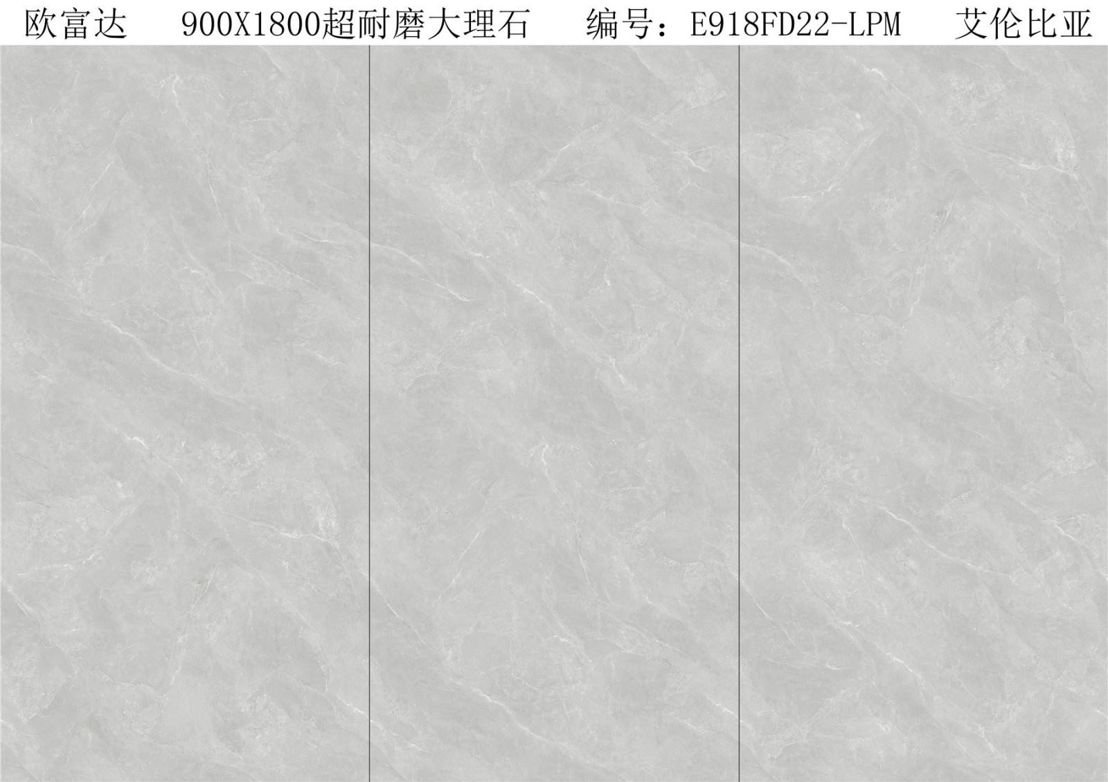 E918FD22-LPM 艾倫比亞