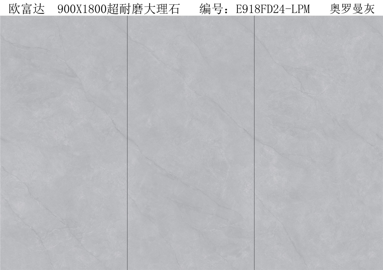 E918FD24-LPM 奧羅曼灰