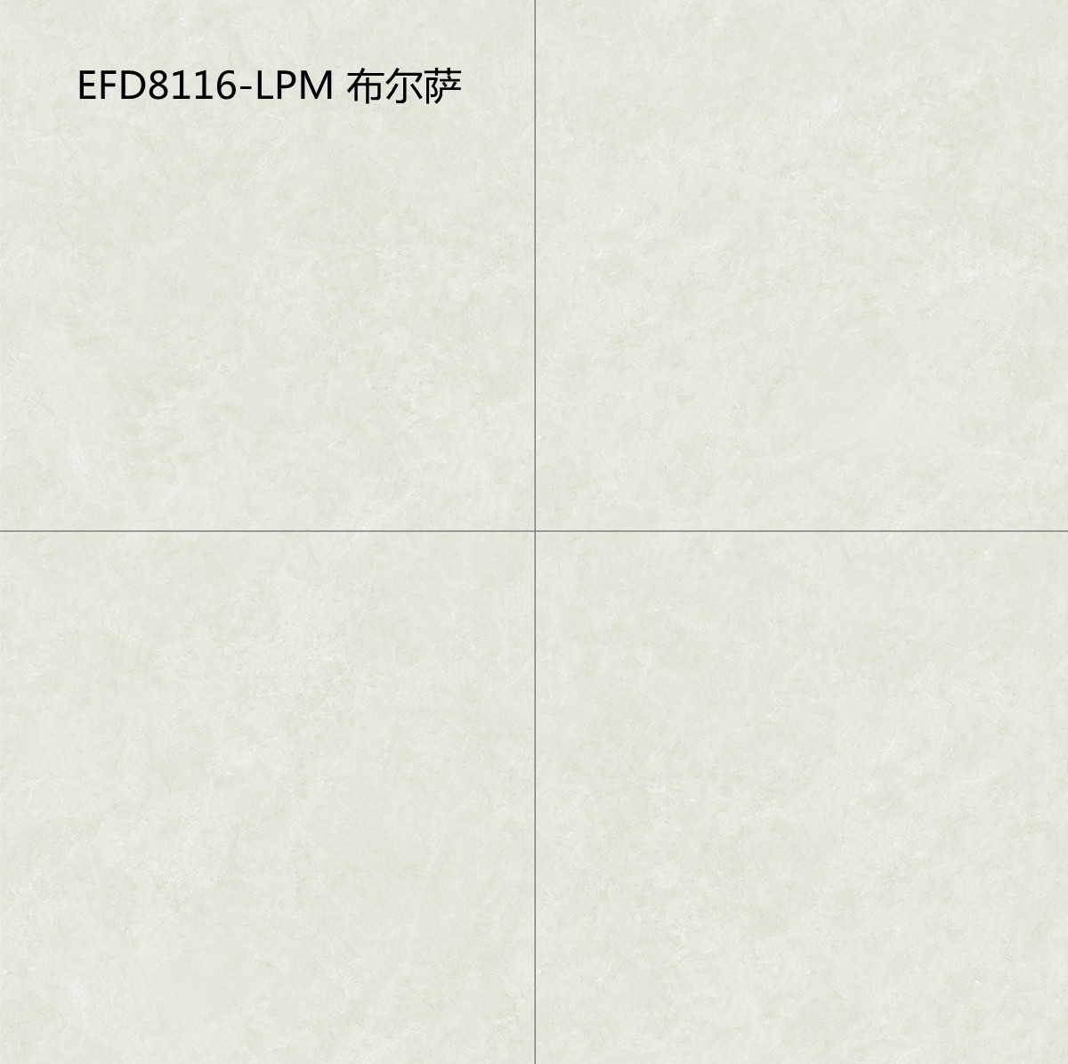 EFD8116-LPM 布爾薩