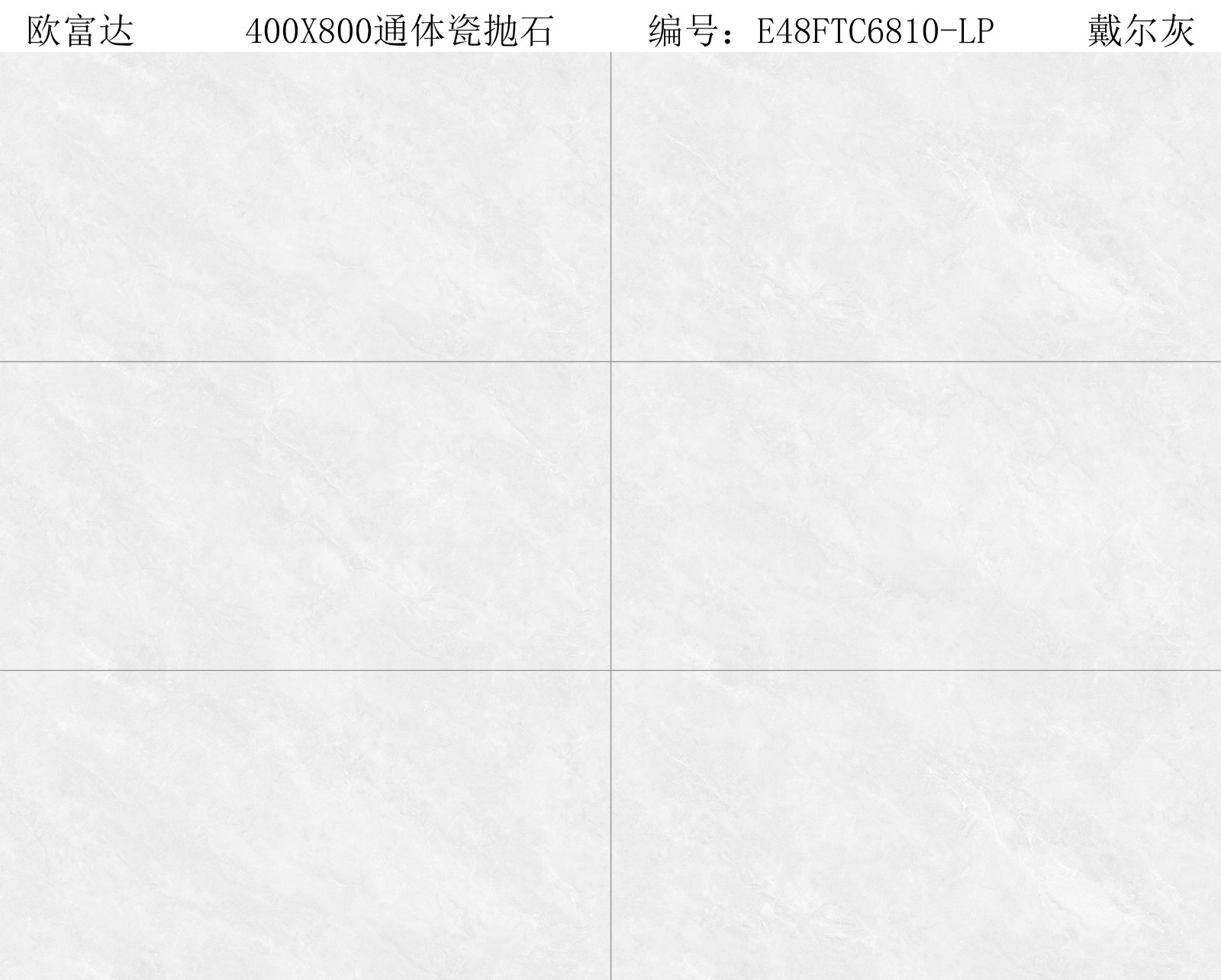 E48FTC6810-LP 戴爾灰