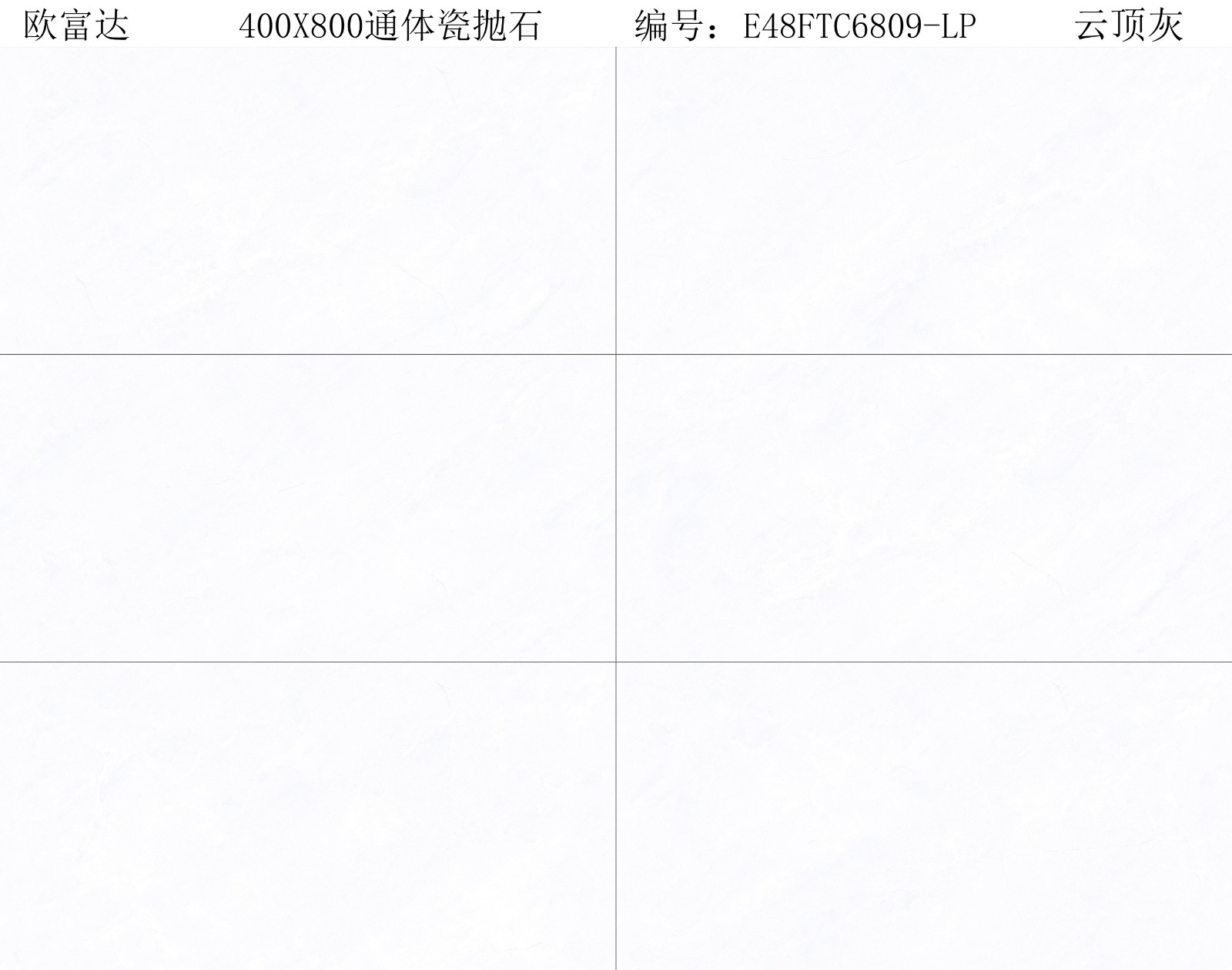 E48FTC6809-LP 云頂灰